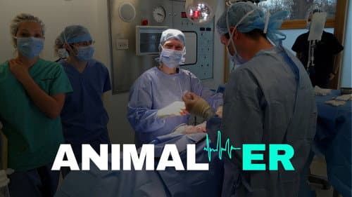 Animal ER still