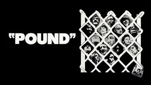 Pound still