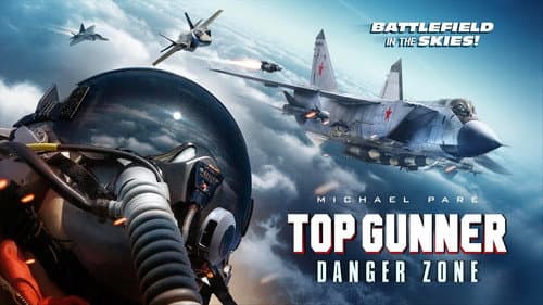 Top Gunner: Danger Zone still