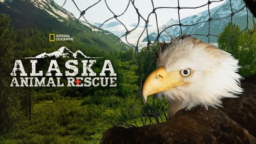 Alaska Animal Rescue still