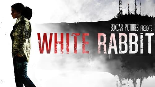 White Rabbit still