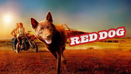 Red Dog still