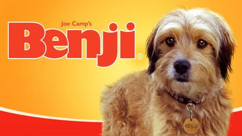 Benji still