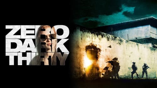 Zero Dark Thirty still