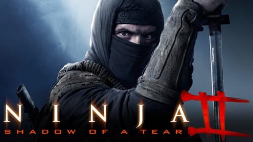 Ninja: Shadow of a Tear still