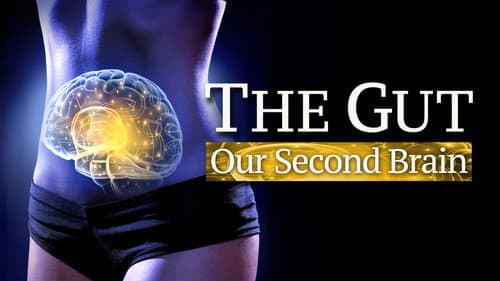 The Gut: Our Second Brain still