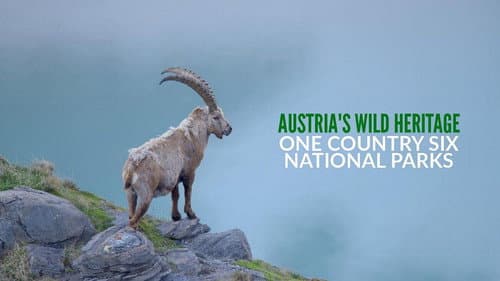 Austria's Wild Heritage - One Country Six National Parks still