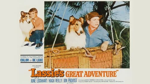 Lassie's Great Adventure still