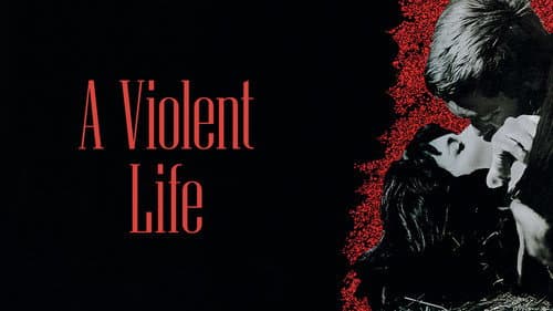 Violent Life still