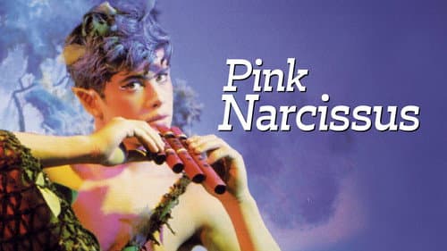 Pink Narcissus still