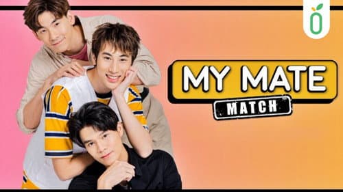 My Mate Match still
