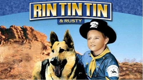 The Adventures of Rin Tin Tin still