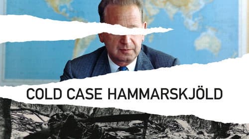 Cold Case Hammarskjöld still