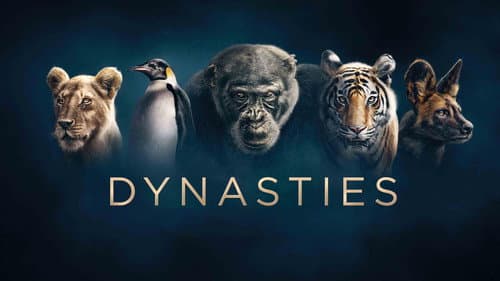 Dynasties still