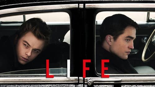 Life still