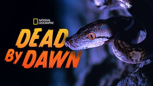 Dead By Dawn still