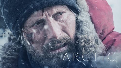 Arctic still