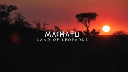 Mashatu, terre de léopards still