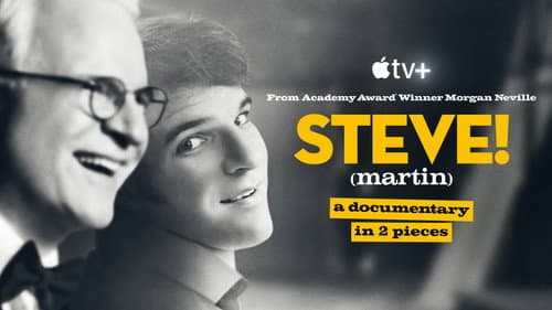 STEVE! (martin) a documentary in 2 pieces still