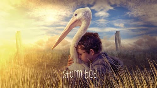 Storm Boy still
