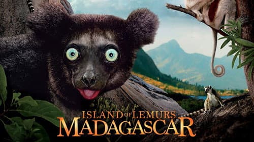 Island of Lemurs: Madagascar still