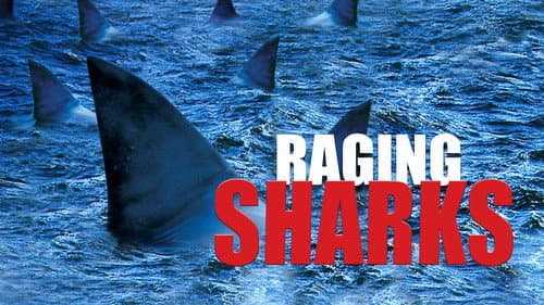 Raging Sharks still