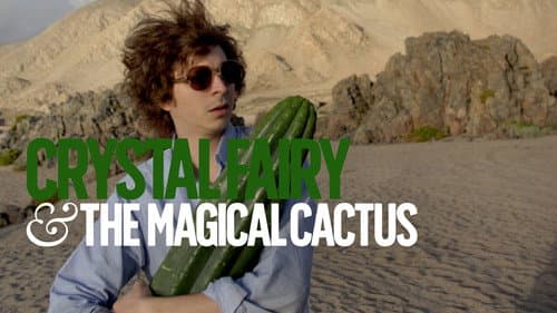 Crystal Fairy & the Magical Cactus still