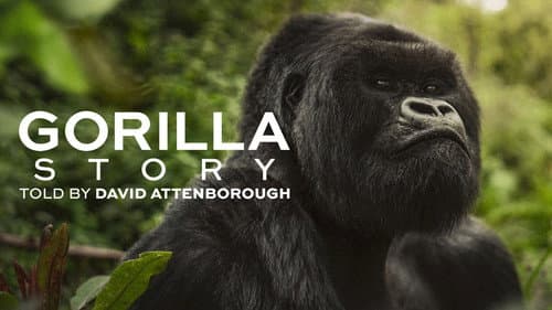 A Gorilla Story: Told by David Attenborough still