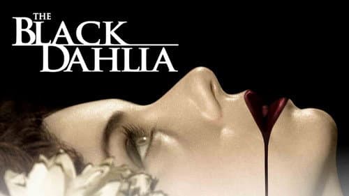 The Black Dahlia still
