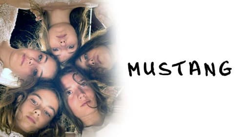 Mustang still