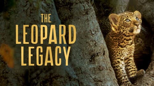 The Leopard Legacy still