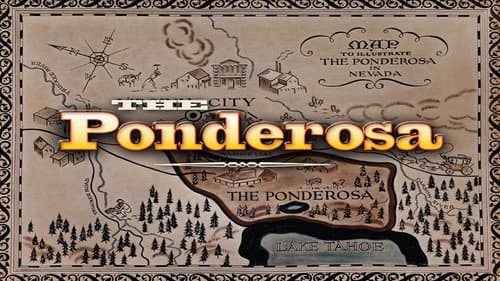 Ponderosa still