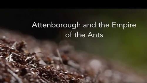 Attenborough and the Empire of the Ants still