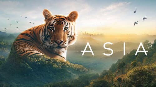 Asia still