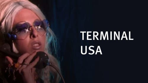 Terminal USA still