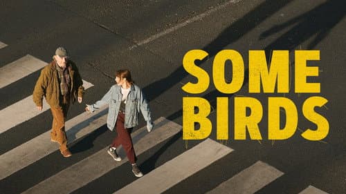 Some Birds still