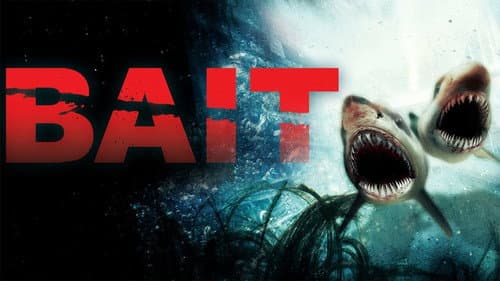 Bait still