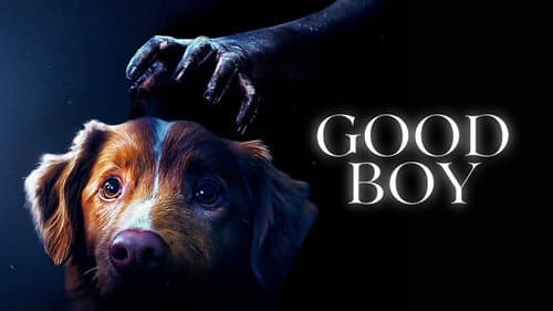 Good Boy still