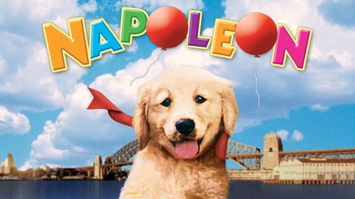 Napoleon still