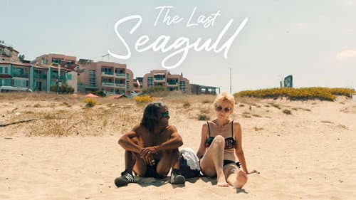 The Last Seagull still