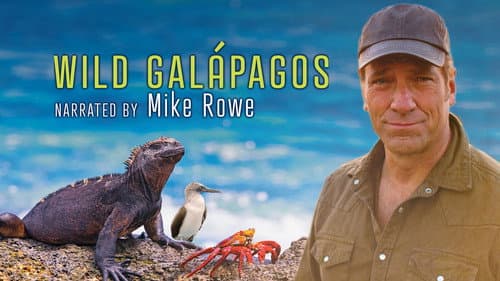 Wild Galápagos still