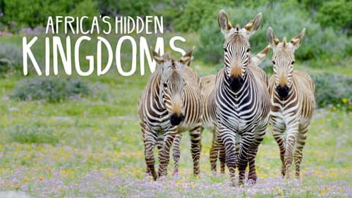 Africa's Hidden Kingdoms still
