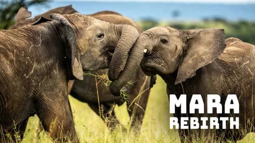 Mara: Rebirth still
