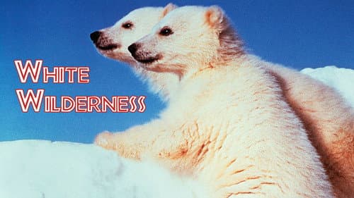 White Wilderness still