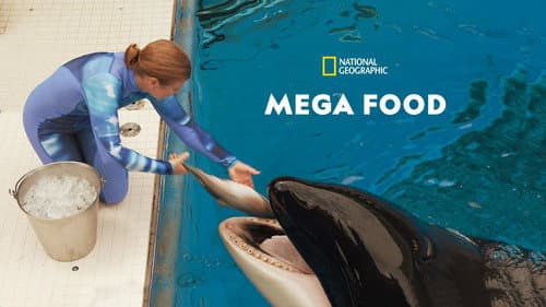 Mega Food still