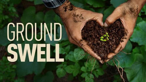 Groundswell still