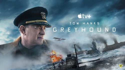 Greyhound still