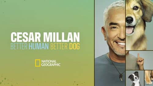 Cesar Millan: Better Human, Better Dog still