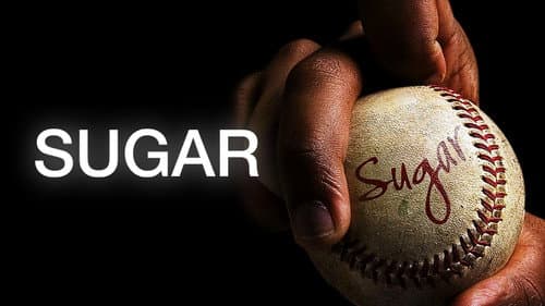 Sugar still