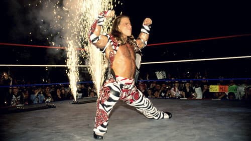 WWE One Night Only still